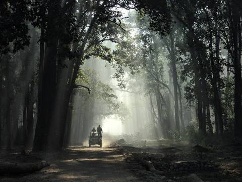 Jim Corbett