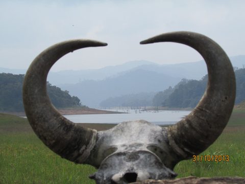 Thekkady